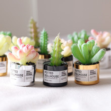 Dollhouse�����ݽ����������� ����΢��ģ�� OB11ֲ��GSC�ֹ�����