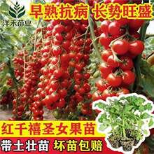 �����x���硿����ǧ���}Ů���������׻�Ƥ��Ʒ�߮a�̨����