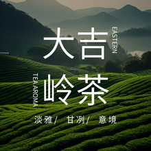 大吉岭茶香薰精油绿茶白茶扩香石木香薰机补充液香水精油持久留香