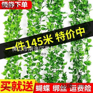 �Nޱ�҃����������l��ɽ���z���p�@�����滨�٠����b�������