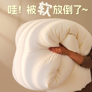 Winter Household Thickeneded Warm Quilt Quilt Student Dormitory Single Autumn and Winter Universal Working Quilt Quilt Core