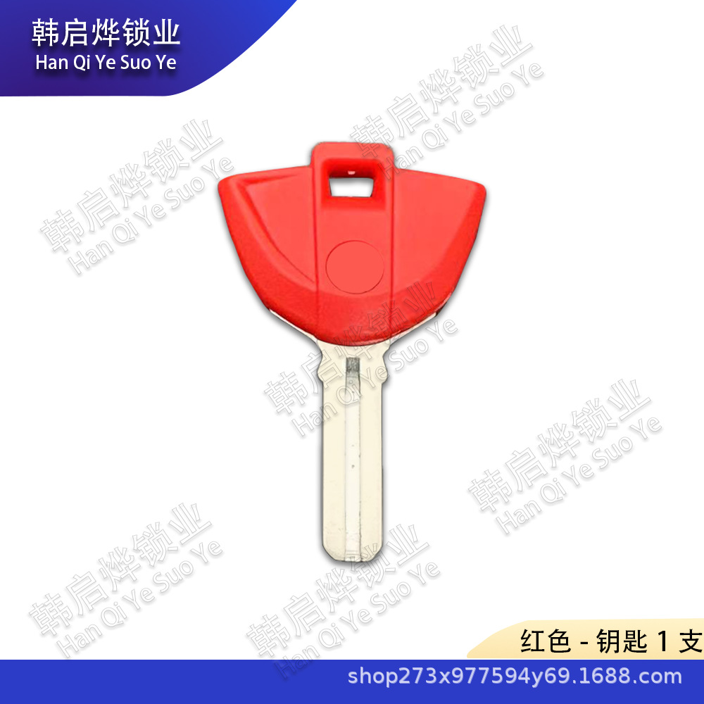 New Model Suitable for Bmw Motorcycle F800Gt R1200R R1200Gs Waterbird Oilbird Key Embryo Chip Key