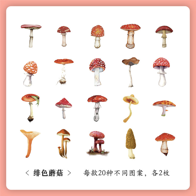 Museo Natural serie mano cuenta pegatinas bolsa vintage planta flor pegatinas mascota impermeable Flor Mariposa pegatinas