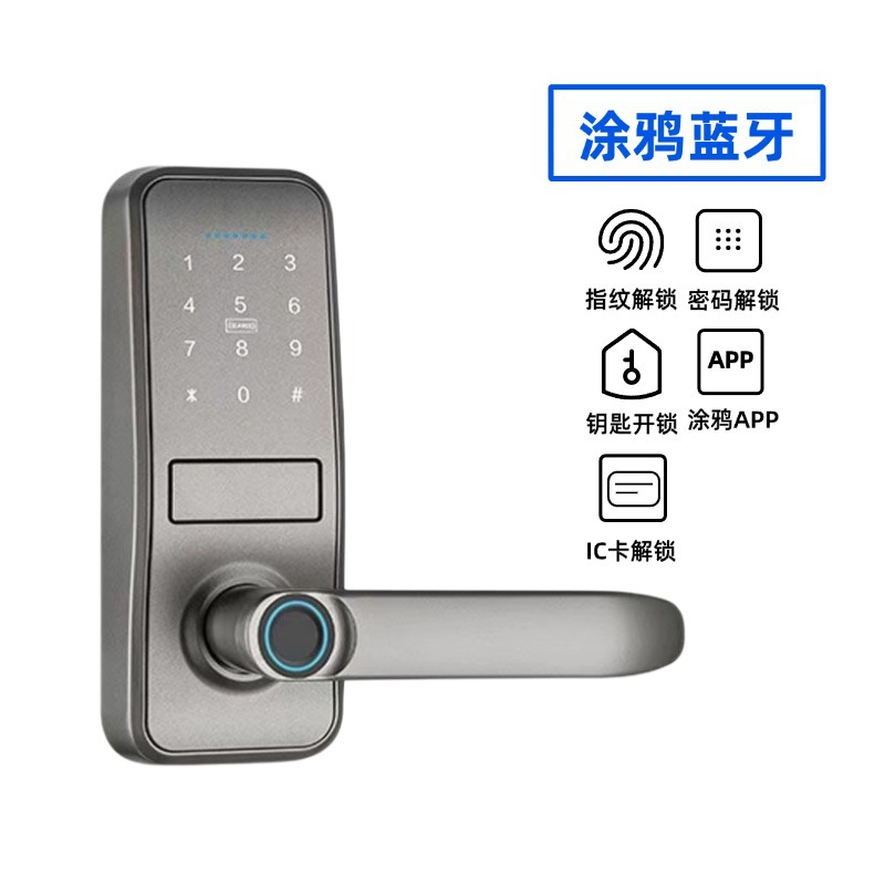 은회색 - 지문 + 비밀번호 + IC 카드 + 모바일 앱 + 열쇠 (투야 블루투스)