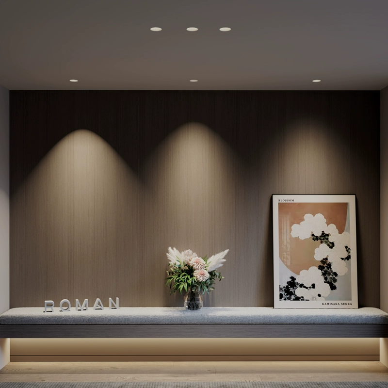LED built-in smart lights, ceiling light for living room, eyes protection