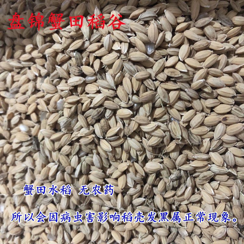 鶏の飼育用のトウモロコシの粉砕、鶏の飼育用のトウモロコシの価格、挽きたての低価格、多くの地方で鶏の飼育、昭関産|undefined