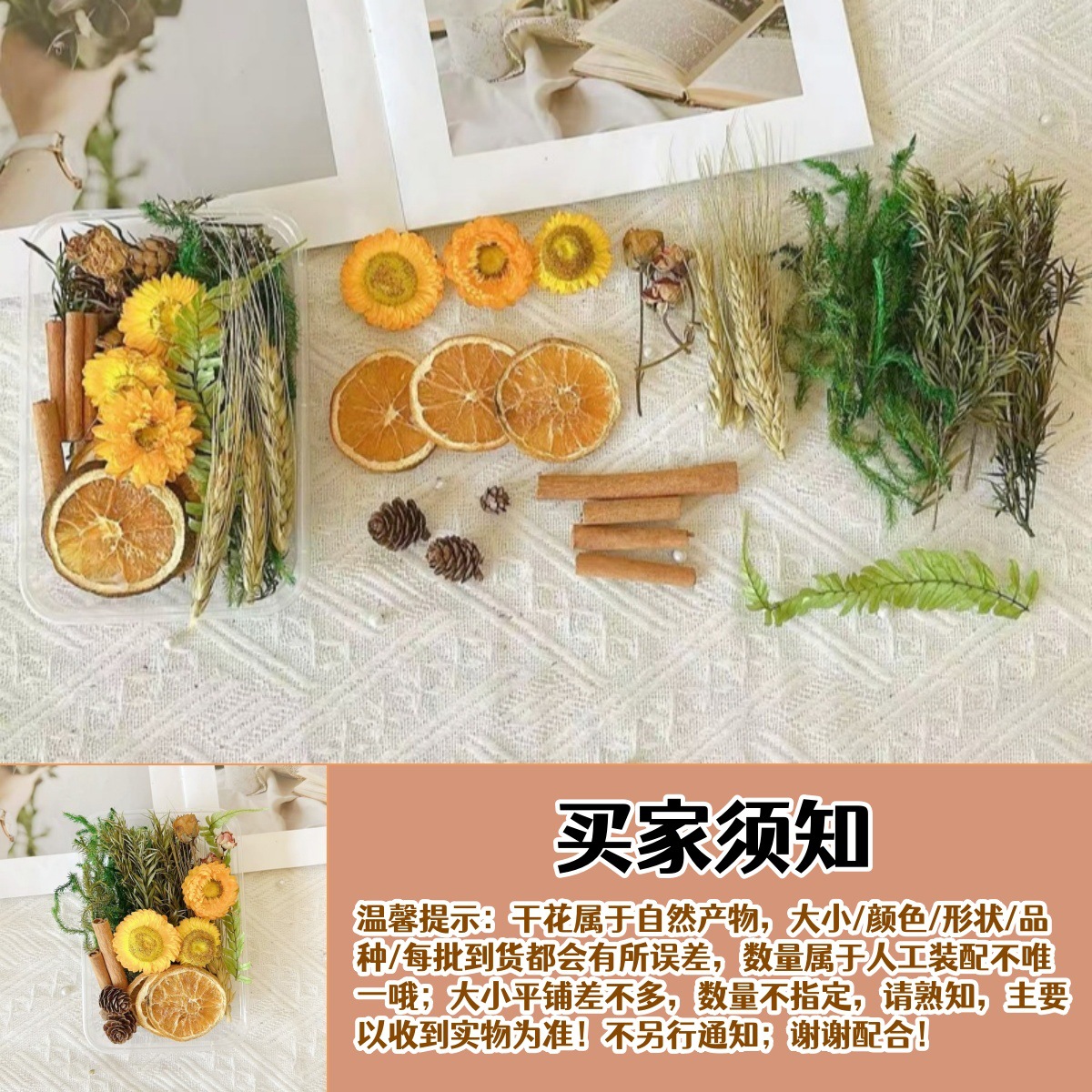 Fruitas secas flores secas DIY material paquete de plantas naturales secas al aire navidad pine canela hecha a mano in decoración adornos inmortales