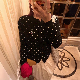 Ʒ|2025ﶬnϵٴë@XLcᘿ_