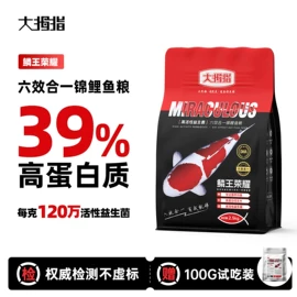 观赏鱼饲料;鱼缸清洁用具;潜水泵