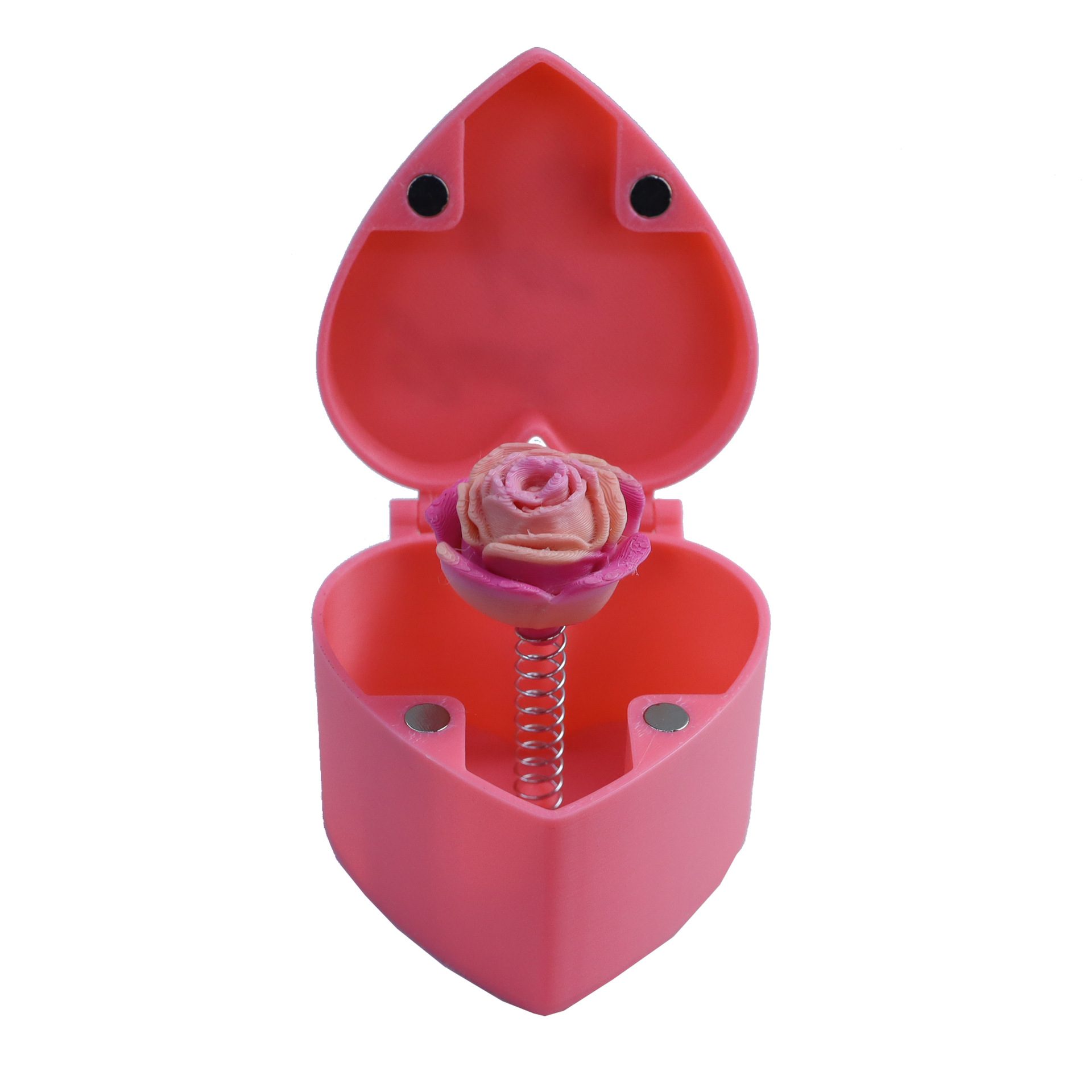 핑크박스-피치핑크로즈