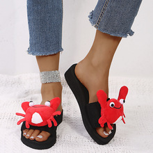 2025�¿��ﶬ¶�_ֺ����ЬŮ�ɐ����r�зë�q�ɼҾӿ��⴩����Ь