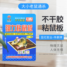 �S�����lճ���͸���zˮ����������\�Ӽ��ÏN��׽�������
