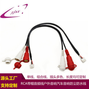 rca�B�Ӿ�RCAĸ�^���w���m���侀rca��܇��푹������l���ɶ���