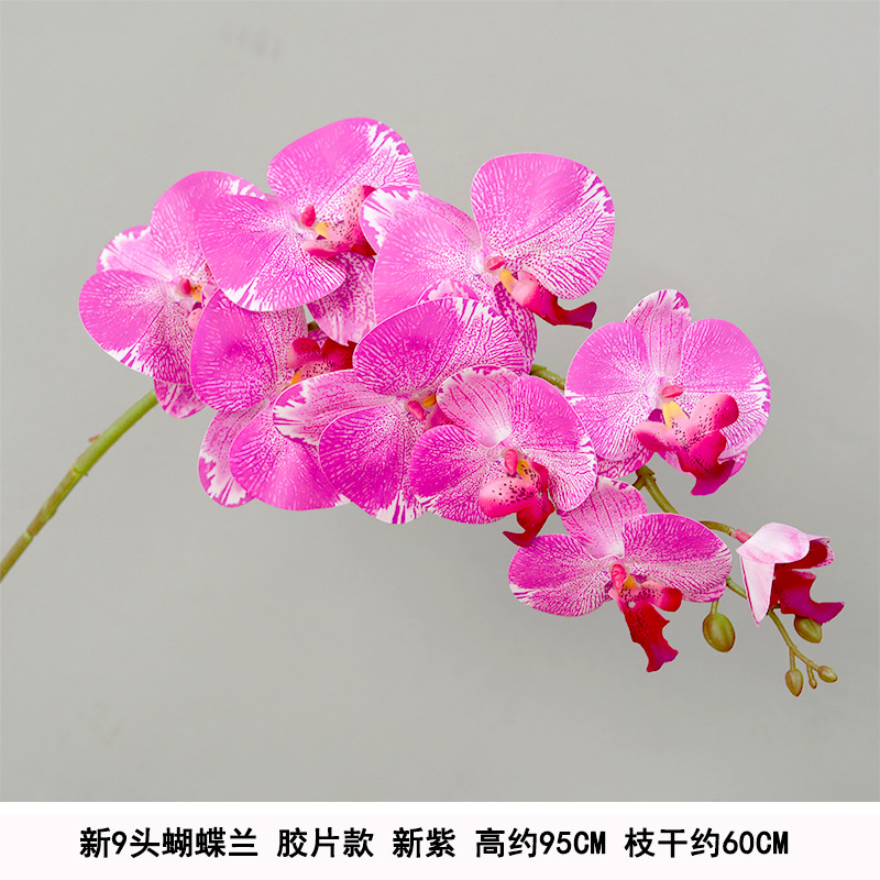 9-head film waterproof phalaenopsis new purple