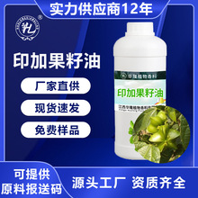 印加果籽油天然植物基底原料 厂家供应基础精油香精香料 美藤果油
