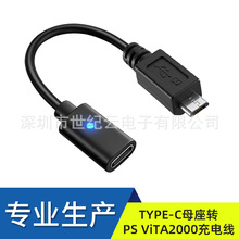 ���Sֱ�N��Ʒ�| TYPE-Cĸ���DPS ViTA2000�Α�C��늾���ɫ10cm