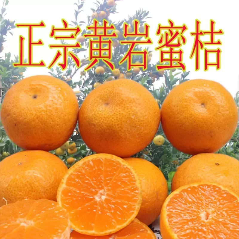 浙江黄岩蜜桔本地早10斤装新鲜水果柑橘无核桔子产地直销现摘清香