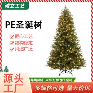 加密PE圣诞树定制家用户外仿真带灯多尺寸圣诞装饰树壁炉装饰
