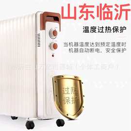 13片电热油汀取暖器家用节能恒温电暖器母婴速热大面积卧室暖气片