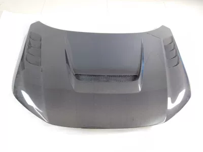 Spoiler, fiber modified accessories cover - 22-civic-vra-model-cover