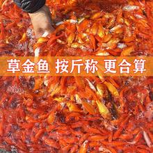 �ݽ��~����t���~�^�p�~С���~����~��ˮ�~���B�ͻ�С���~�\���~