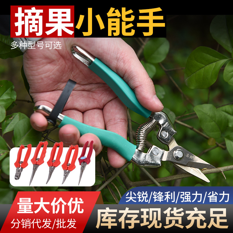摘果剪嫁接专用果树剪园林花艺修枝剪果园省力摘果剪修枝剪批发