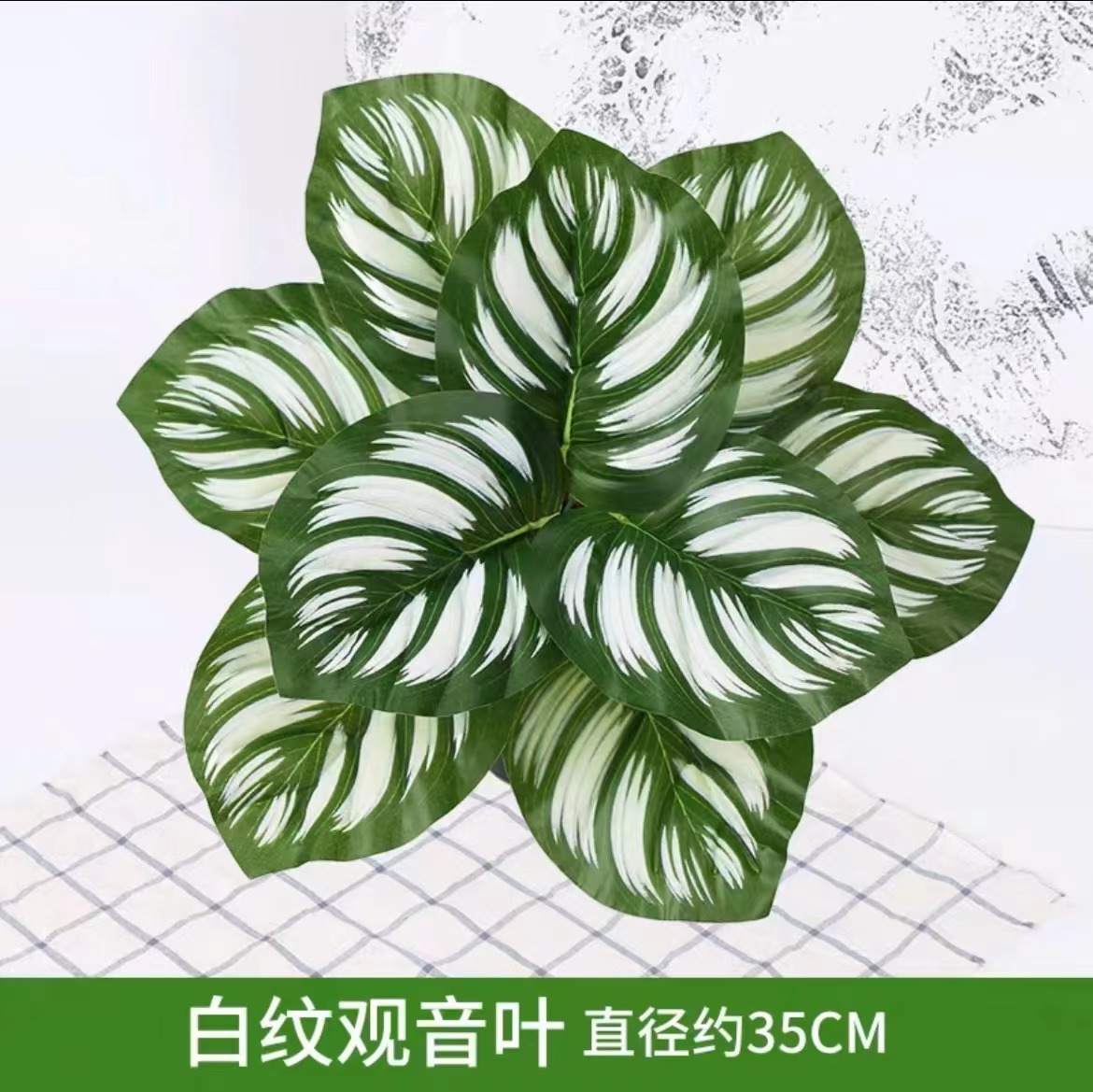 White vein guanyin leaf