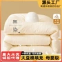 单人抗菌宿舍学生冬被
