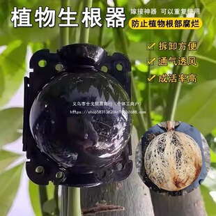 ֲ��߉��޽Ӻи߉���ֳ������ֲ���������B��Ǥ������������ֳ��