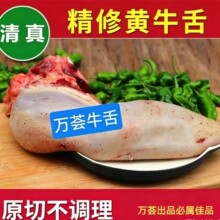 �������n�����ʳ��ţ��ţ�ڗl�o��ţ�����l����˹ѩ��ţ�����l