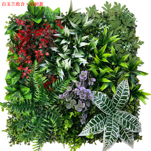 50*50����Gֲƴ�ӽM��ֲ������b��������w�쾰�羳���N��