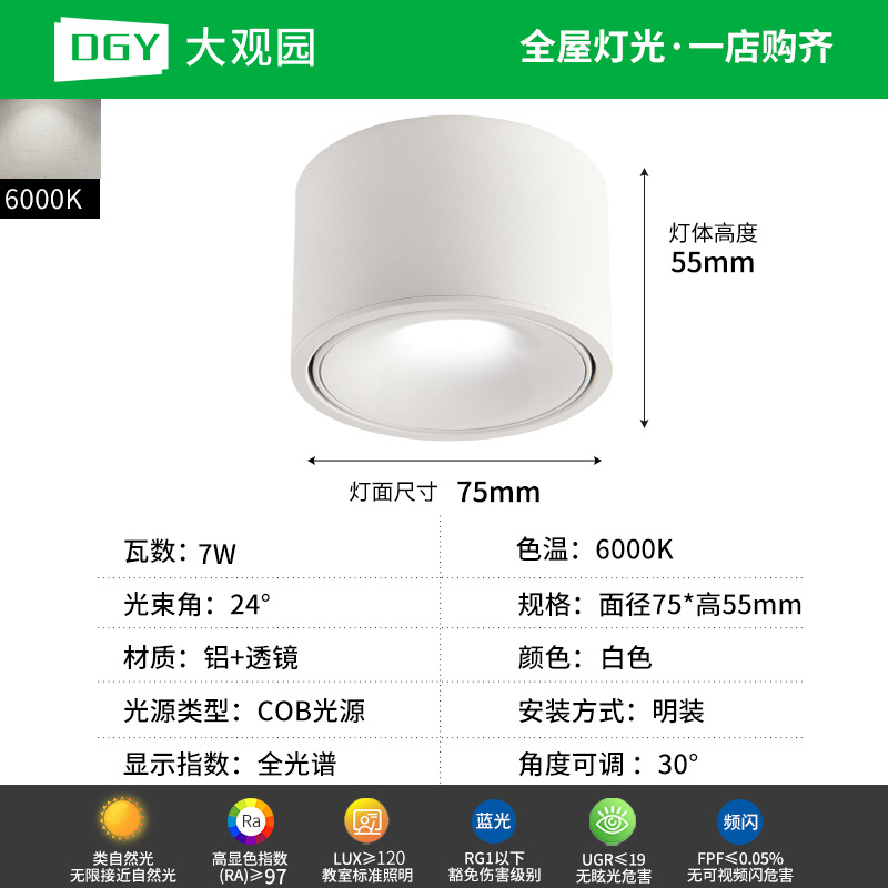 Da Guan Jardín luz de reflector anti-deslumbramiento colina sala de estar sin luz principal luz de techo downlight led corredor luz de techo 495L image 15