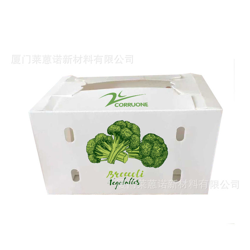 Caja de frutas y verduras de placa hueca pp personalizada plegable impermeable frutas y verduras frescas de transporte de cadena de frío Caja de plástico de calcio image 15