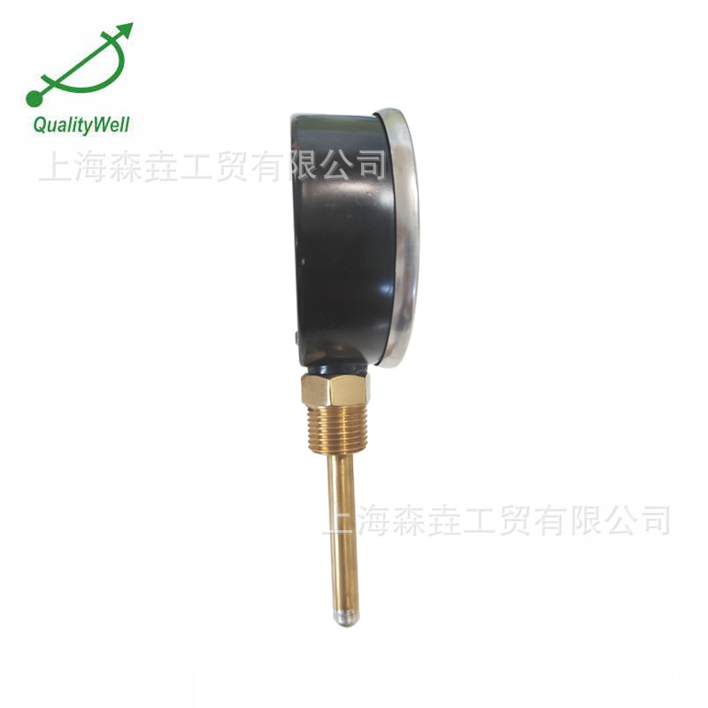 80mm�������¶�ѹ��һ��� ����ͭ���¹� 0-120�� 0-16bar WHT-7