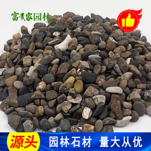 惠州天然鹅卵石 沼泽过滤卵石 地暖找平回填用豆石水洗滤料