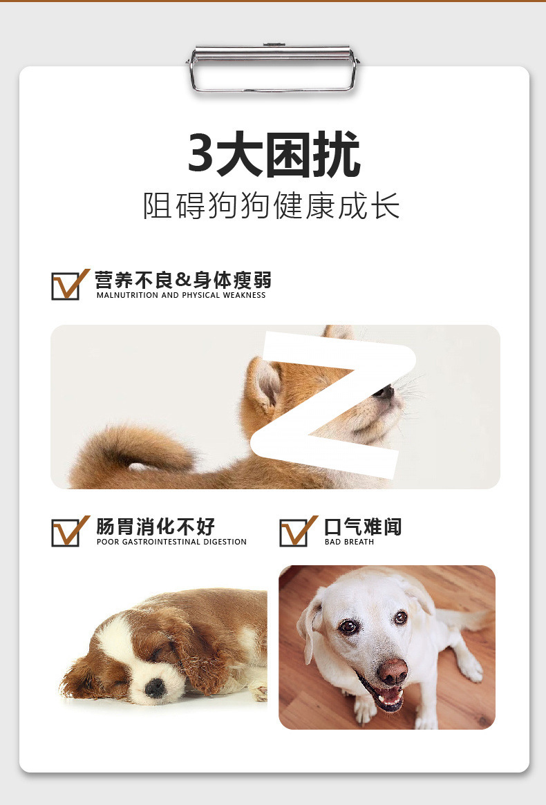 c8195ed7-1132-47e6-8bef-169a8e3fb188.jpe