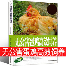 无公害蛋鸡高效饲养技术鸡病鉴别诊断图谱养鸡书籍大全技术及用药