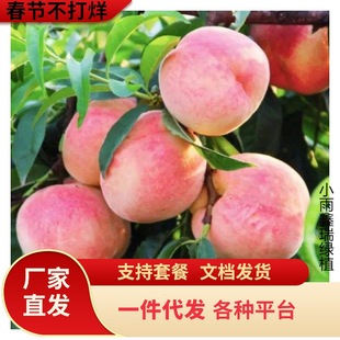 һ�����l�Ҙ����޽��Ҙ���ˮ���Ҙ����S�Ҙ��箔��Y���Ϸ�����