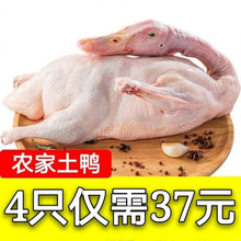 ��S�r��ɢ�B�������ӬF�������������������Ɀ���r��������l