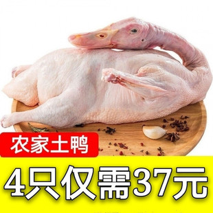 ��S�r��ɢ�B�������ӬF�������������������Ɀ���r��������l