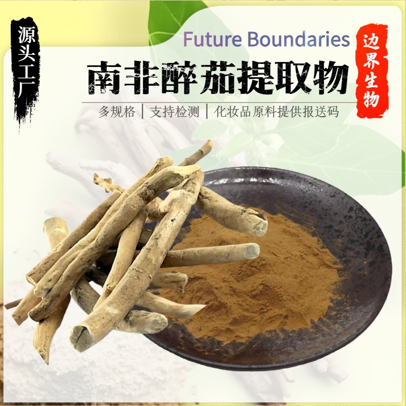 现货批发桑黄提取物 100:1比例 桑黄多糖 桑黄菇萃取 量大优惠