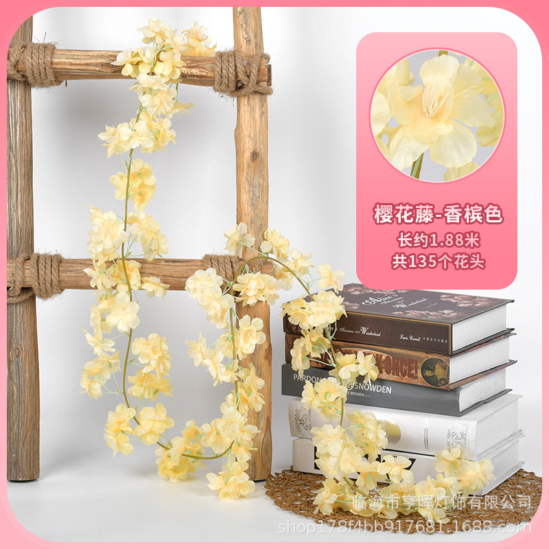 微信图片_20231221144717