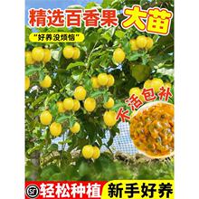 �����������S��J��9̖���缃��o���ļ��Y�����B�׻��ش�̖��