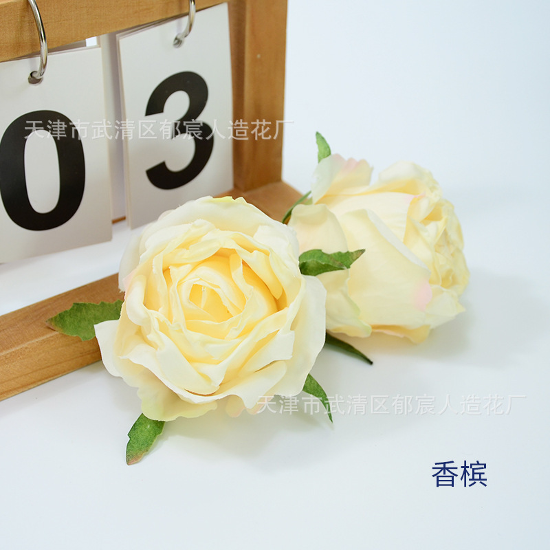 焼きながらのバラの花の焦げながらのバラの花の頭をシミュレーションします。|undefined
