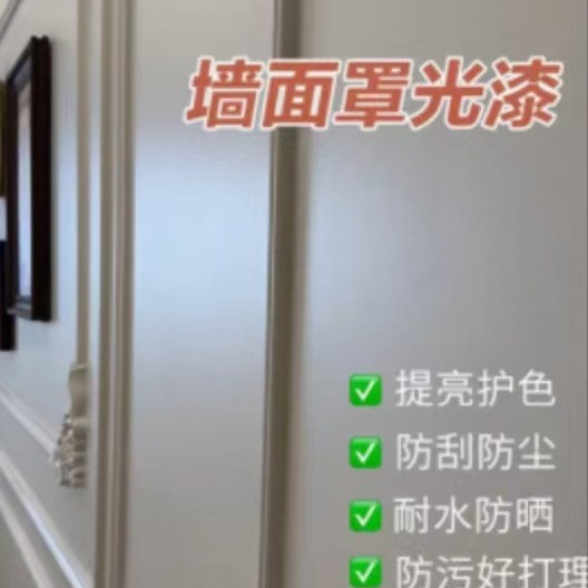 罩面漆室内墙面保护漆水性透明光油乳胶漆墙绘保护漆外墙防水清漆