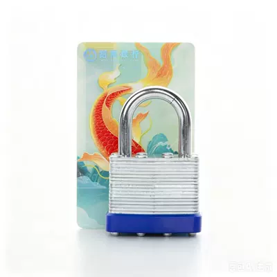 Multi-layer padlock, waterproof lock, rubber outdoor rust-proof and rain-proof household lock, universal outdoor small padlock (Avtomobil qapı kilidi silindrləri) - 40-thousand-locks-120-piecesbox