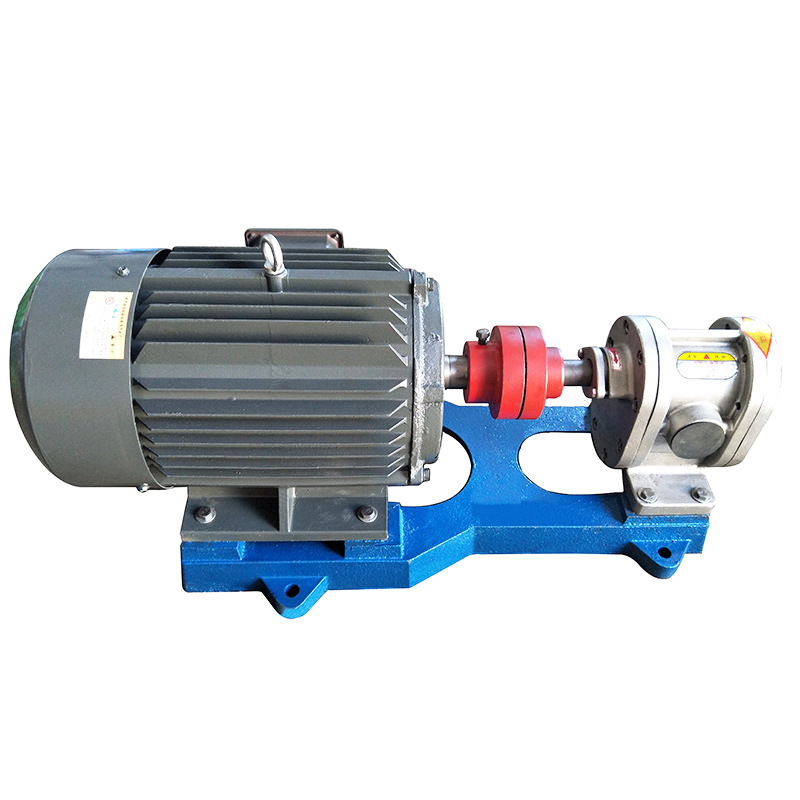 不锈钢高压齿轮泵 2CY齿轮油泵 耐腐蚀燃油泵 注油泵 金海