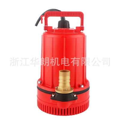 for Watering Flowers and Vegetables, 12V24V, Water pump