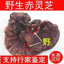 Ұ`֥r֥ܳƬݾȻػwlʳșþ