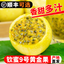 钦蜜9号黄金百香果新鲜包邮5斤大果一级百香果原浆黄晶果水果整箱
